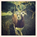 Profile Picture of Jay Bernal (@el_pajarito) on Instagram