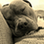 Profile Picture of Yesenia Marquez (@Y.Marquez17) on Flickr