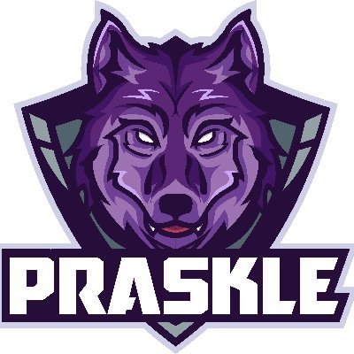 Profile Picture of Patrick Thériault (@Praskle) on Twitter