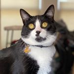 Profile Picture of Pete Ball (@therealpetestagram) on Instagram