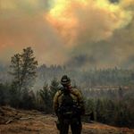 Profile Picture of Michael Scarpato (@michaelscarpato) on Instagram