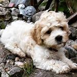 Profile Picture of Marilyn Whiting (@mjwhit52) on Instagram