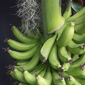 Tony Wan - Youtube Profile Picture of Tony Wan (@tonywan6414) on Youtube