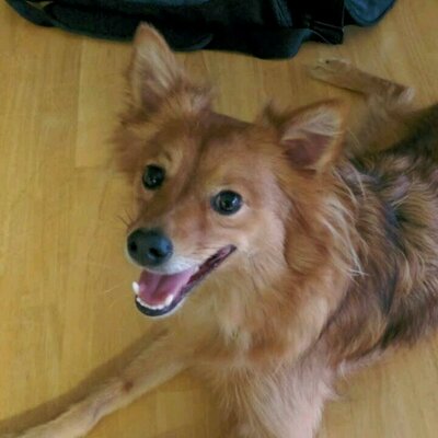 Profile Picture of Jeff Huebner (@hueb63) on Twitter
