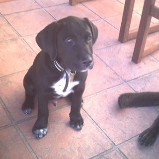 Profile Picture of Catherine Duke (@catherineduke) on Facebook