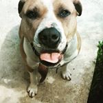 Profile Picture of David Constantin (@david.constantin.94402) on Instagram