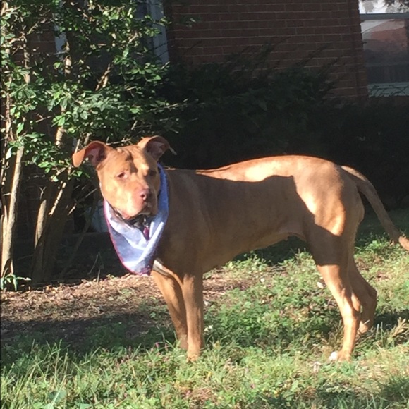 Profile Picture of Heather Roberts (@hroberts760) on Poshmark