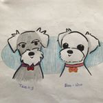 Profile Picture of Teeny_BeeNoo_Mom Mina choe (@teeny_n_beenoo) on Instagram