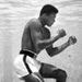 Profile Picture of Edward Marciniak (@ekmarciniak) on Pinterest
