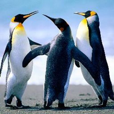 Profile Picture of Brian Wojciechowski (@WojTheGreat) on Twitter