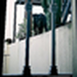 Profile Picture of María José Rivas Parrales (@lucy in no sky) on Flickr