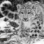 Profile Picture of James Six (@jamessix622) on Youtube