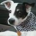 Profile Picture of Leetta Curry Unruh (@curryunruh) on Pinterest