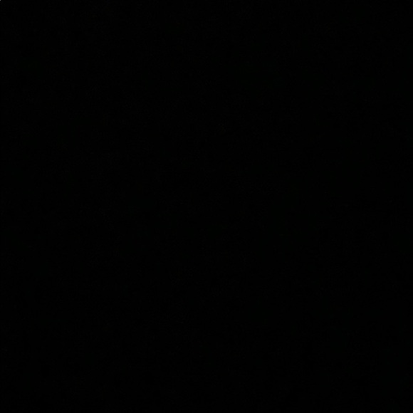 Profile Picture of Sofia Lertora (@sofialertora) on Poshmark