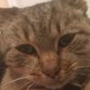 Profile Picture of brane Cell (@briancell9) on Tiktok