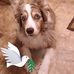 Profile Picture of Gloria Heffelfinger Ray (@jean.ray.7528) on Facebook