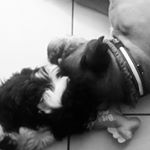 Profile Picture of Thomas Murphy (@thomasmurphy4) on Instagram