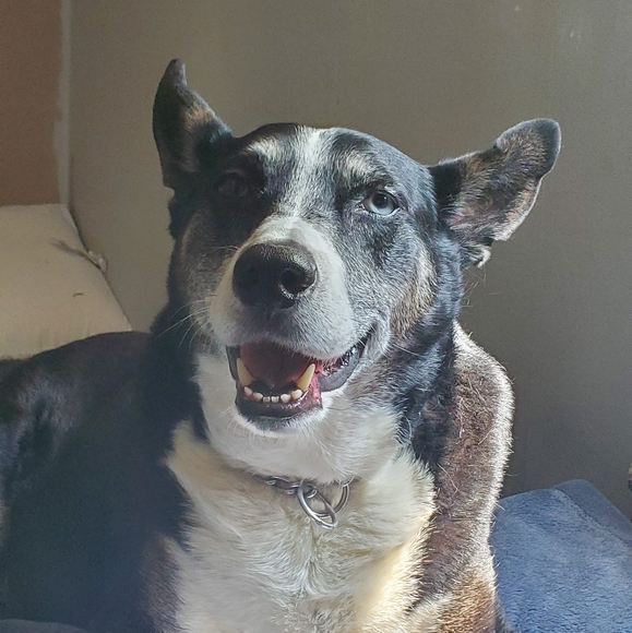 Profile Picture of Clayton Allen (@clayton_allen) on Poshmark