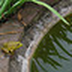 Profile Picture of Tunsamai (@tunsamai) on Flickr