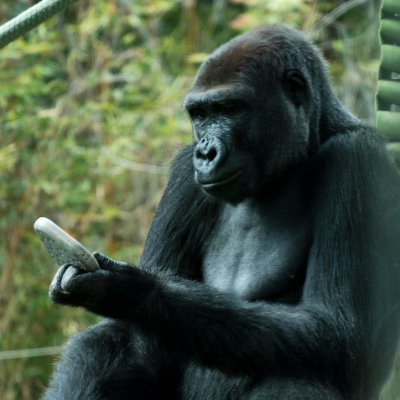 Carlo Michael Sommer - Twitter Profile Picture of Carlo Michael Sommer (@CarloSommer) on Twitter