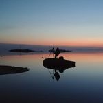 Eric Robillard - Instagram Profile Picture of Eric Robillard (@kaleidavisuals) on Instagram