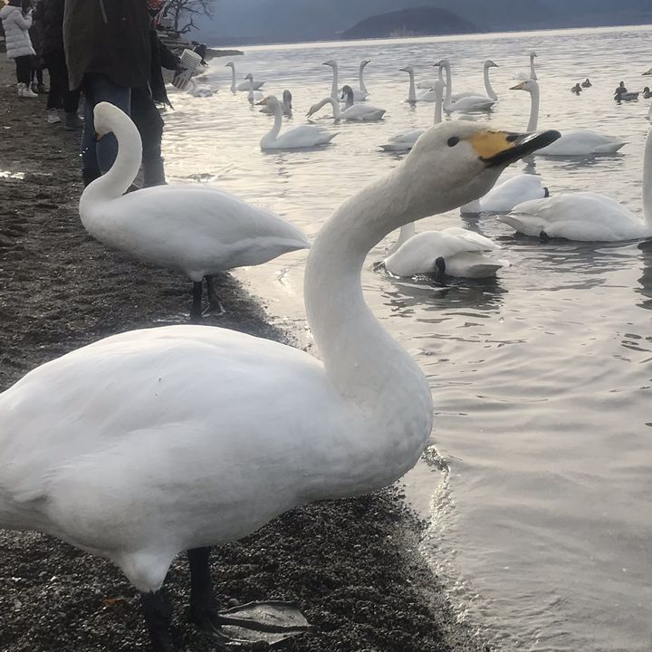 Profile Picture of robertkasey 🍭 (@llp343) on Tiktok