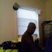 Profile Picture of Oliver Singleton (@oliver.singleton.5) on Facebook