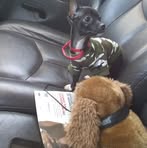 Profile Picture of Debra Shoemake (@debra.shoemake.710) on Facebook