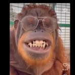 Profile Picture of Brian James Harris (@brian.j.harris.37) on Facebook