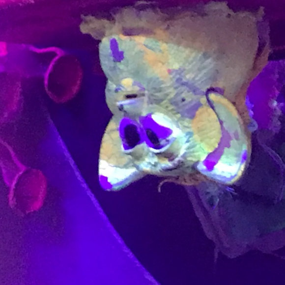 Profile Picture of Kenneth Morrow (@kmorrow625) on Poshmark