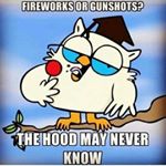Profile Picture of AdamFlink0 (@adamflink0) on Instagram