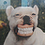 Profile Picture of Aaron Lewis (@digital.aaron) on Flickr