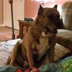 Profile Picture of Steve Doerr (@doerr.steve) on Instagram