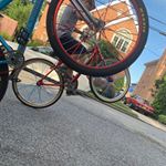 Profile Picture of Daniel Lee (@dl.ripper) on Instagram