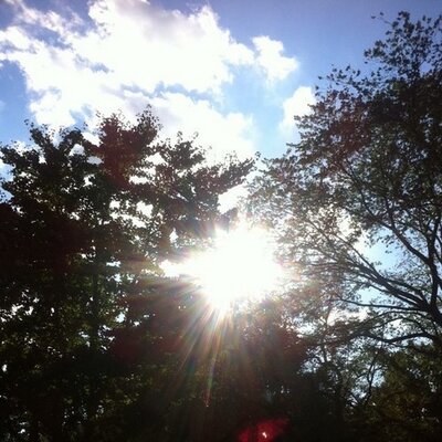 Profile Picture of Alexandra Phelps (@alexandra__lp) on Twitter