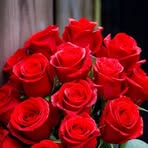 Profile Picture of David Garrett (@David-Garrett) on Facebook