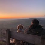 Profile Picture of Marc Fuchs (@marcfuchs85) on Instagram