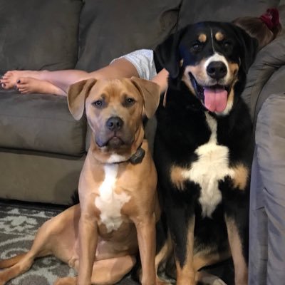 Profile Picture of Jason Kuna (@JasonKuna) on Twitter