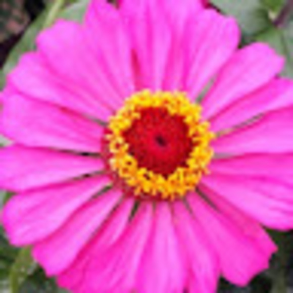 Profile Picture of Beth Hooper (@hooperb50) on Poshmark