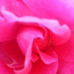 Profile Picture of Jenna Michalski (@jennasoccer8) on Instagram