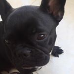 Profile Picture of Erik Chaparro (@erik.chaparr1227) on Instagram
