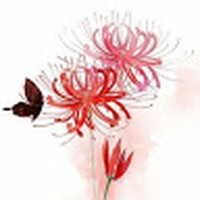 Profile Picture of Lieu Hoang (@lieu-hoang-4) on Quora