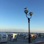 Profile Picture of Erika Baumgart (@baumgarterika) on Instagram