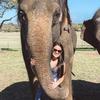 Profile Picture of Aurora McQuade (@@amor.aurora) on Tiktok