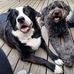 Profile Picture of Debbie Seaborn (@debbie.seaborn.54) on Facebook
