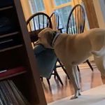 Profile Picture of Charlie Daugherty (@charlied2005) on Instagram