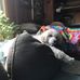 Profile Picture of Bobbi Pollock (@bobbi.pollock.779) on Facebook