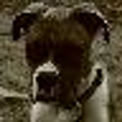 Profile Picture of Chase Palmer (@chasepalmer) on Twitter