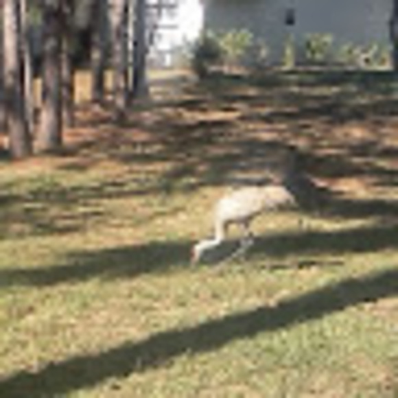 John Felix - Poshmark Profile Picture of John Felix (@trueguyank95) on Poshmark