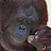 Profile Picture of Nishant Mishra (@Nishant Nayan) on Flickr